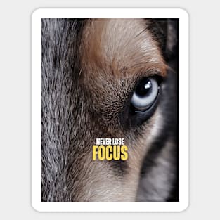 Never Lose Focus Wolf Head Motivational Quote Sticker